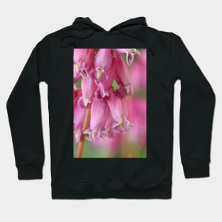 Dicentra Hoodie